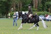 thornton-le-dale-gala showclass7acharity25-5-20158